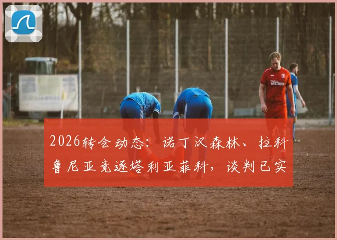2026转会动态：诺丁汉森林、拉科鲁尼亚竞逐塔利亚菲科，谈判已实质性开启