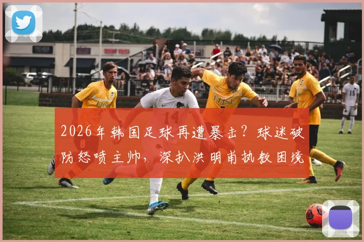 2026年韩国足球再遭暴击?球迷破防怒喷主帅,深扒洪明甫执教困境与韩国足球痼疾